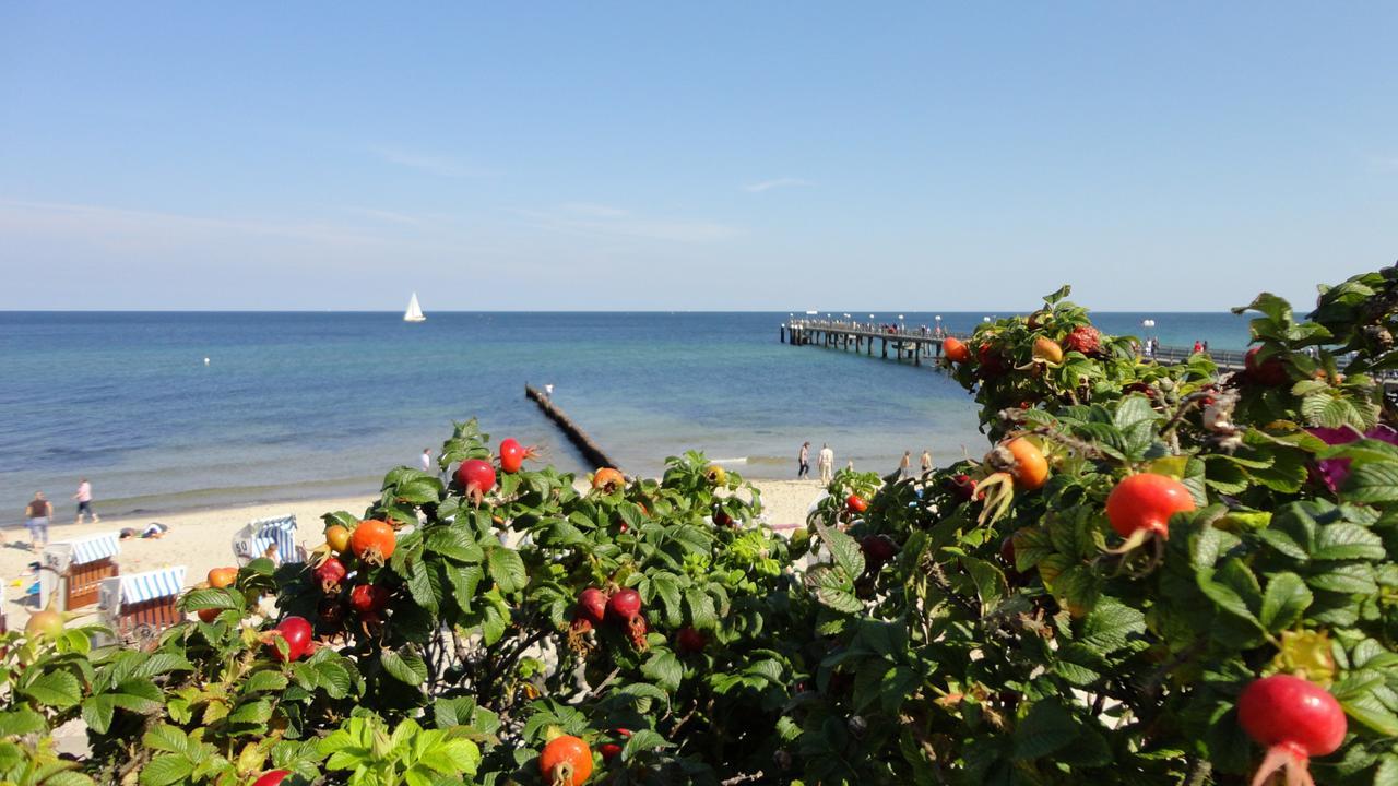 Parkhotel IV Jahreszeiten Ostseebad Kühlungsborn Eksteriør billede